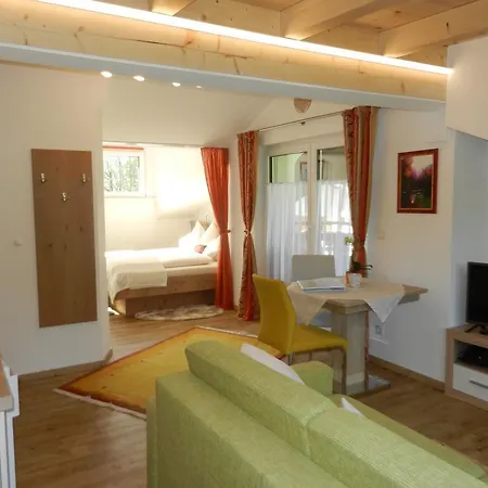 Apartments Saalachtal Lofer Exterior foto