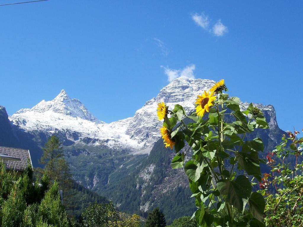 Saalachtal *