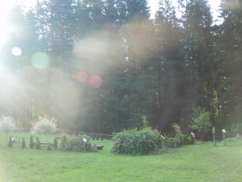 Saalachtal Lofer