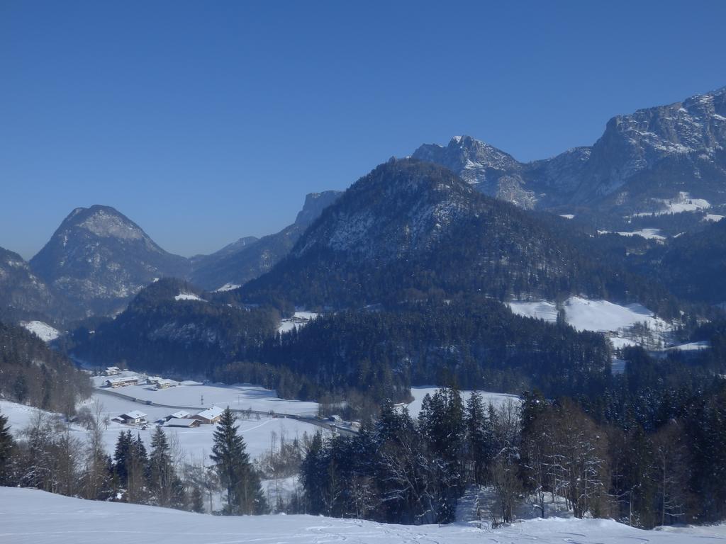 Apartment Saalachtal Lofer