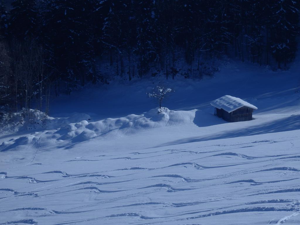 Saalachtal Apartmán