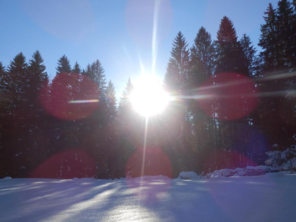 Apartmán Saalachtal Lofer