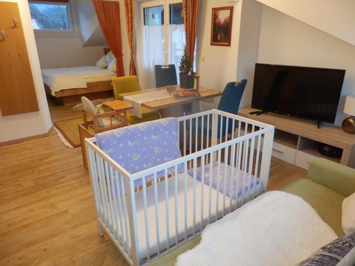 Apartment Saalachtal Lofer